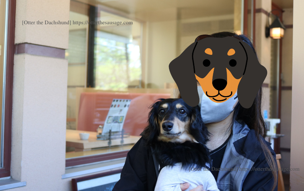 photo_travel with dogs_dog friendly cafe_minami karuizawa_sheridan_american style breakfast_Otter the Dachshund_犬連れ旅行_犬と外食_シェリダン_オッター_犬と旅行_オッターとOL-Student記念写真